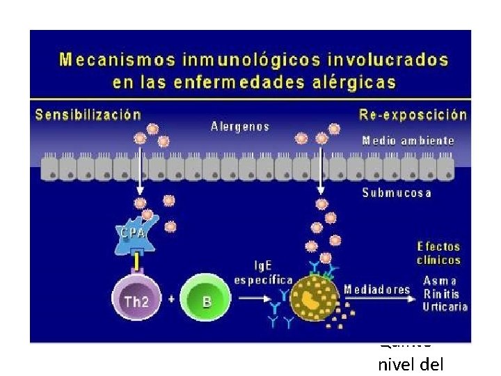  Pulse para editar los formatos del texto del esquema Segundo nivel del esquema