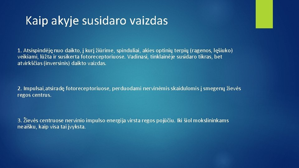 Kaip akyje susidaro vaizdas 1. Atsispindėję nuo daikto, į kurį žiūrime, spinduliai, akies optinių