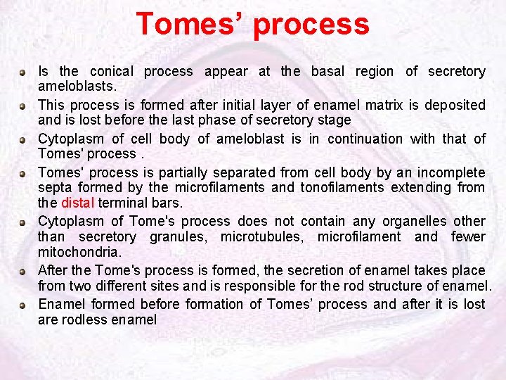 Tomes’ process Is the conical process appear at the basal region of secretory ameloblasts.