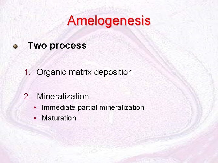 Amelogenesis Two process 1. Organic matrix deposition 2. Mineralization • Immediate partial mineralization •