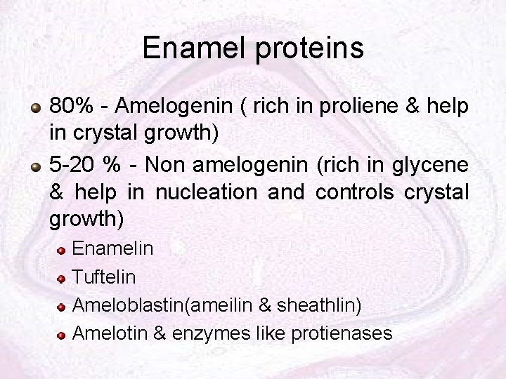 Enamel proteins 80% - Amelogenin ( rich in proliene & help in crystal growth)