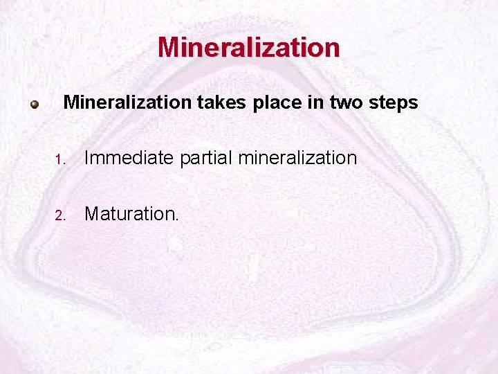 Mineralization takes place in two steps 1. Immediate partial mineralization 2. Maturation. 