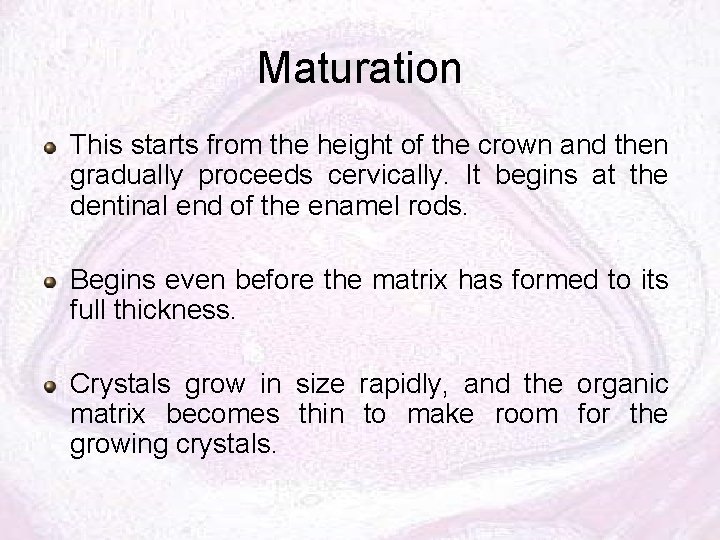 Maturation This starts from the height of the crown and then gradually proceeds cervically.