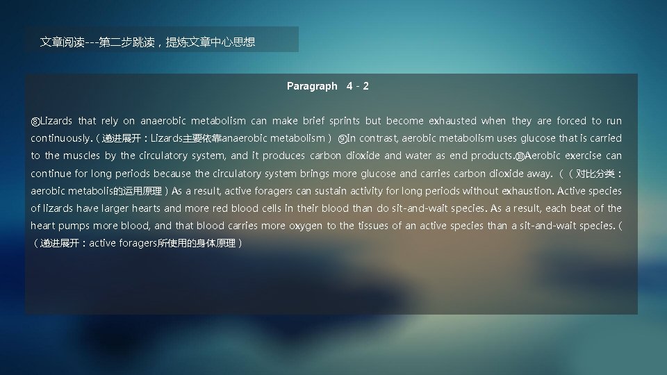 文章阅读---第二步跳读，提炼文章中心思想 Paragraph 4－2 ⑧Lizards that rely on anaerobic metabolism can make brief sprints but