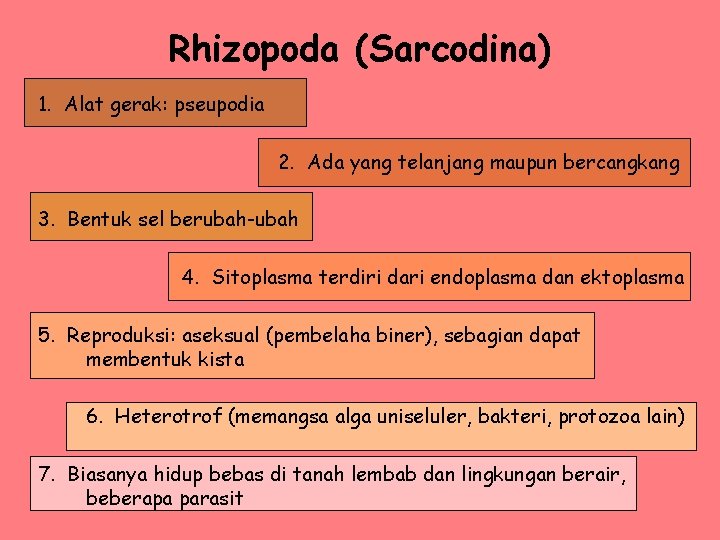 Rhizopoda (Sarcodina) 1. Alat gerak: pseupodia 2. Ada yang telanjang maupun bercangkang 3. Bentuk