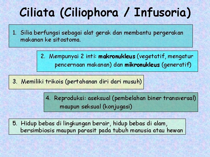 Ciliata (Ciliophora / Infusoria) 1. Silia berfungsi sebagai alat gerak dan membantu pergerakan makanan