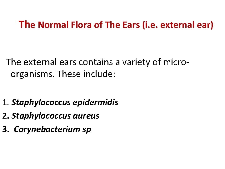 The Normal Flora of The Ears (i. e. external ear) The external ears contains The Normal Flora of The Ears (i. e. external ear) The external ears contains