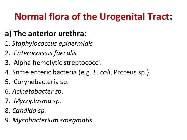 Normal flora of the Urogenital Tract: a) The anterior urethra: 1. Staphylococcus epidermidis 2.