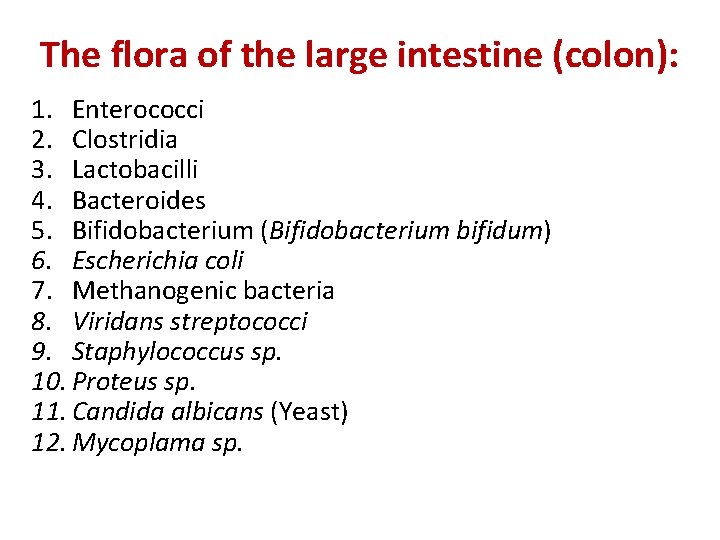 The flora of the large intestine (colon): 1. Enterococci 2. Clostridia 3. Lactobacilli 4. The flora of the large intestine (colon): 1. Enterococci 2. Clostridia 3. Lactobacilli 4.