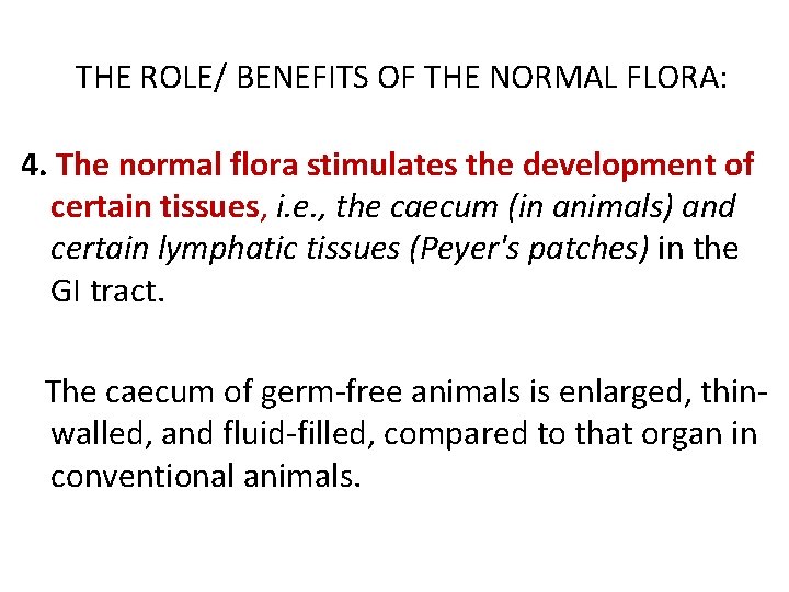  THE ROLE/ BENEFITS OF THE NORMAL FLORA: 4. The normal flora stimulates the