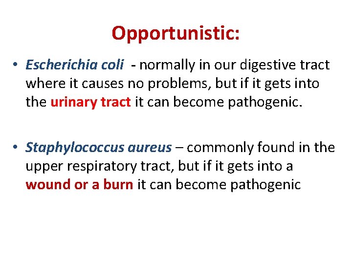 Opportunistic: • Escherichia coli - normally in our digestive tract where it causes no