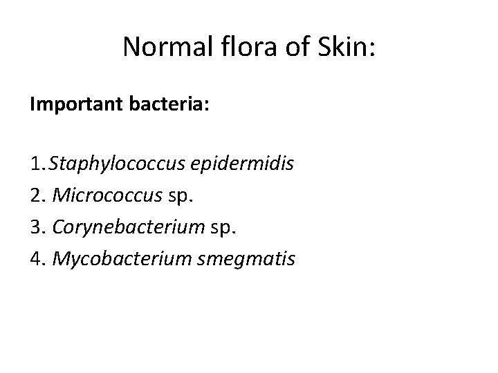 Normal flora of Skin: Important bacteria: 1. Staphylococcus epidermidis 2. Micrococcus sp. 3. Corynebacterium Normal flora of Skin: Important bacteria: 1. Staphylococcus epidermidis 2. Micrococcus sp. 3. Corynebacterium