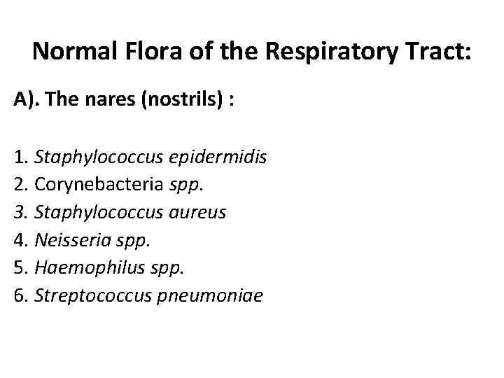 Normal Flora of the Respiratory Tract: A). The nares (nostrils) : 1. Staphylococcus epidermidis Normal Flora of the Respiratory Tract: A). The nares (nostrils) : 1. Staphylococcus epidermidis