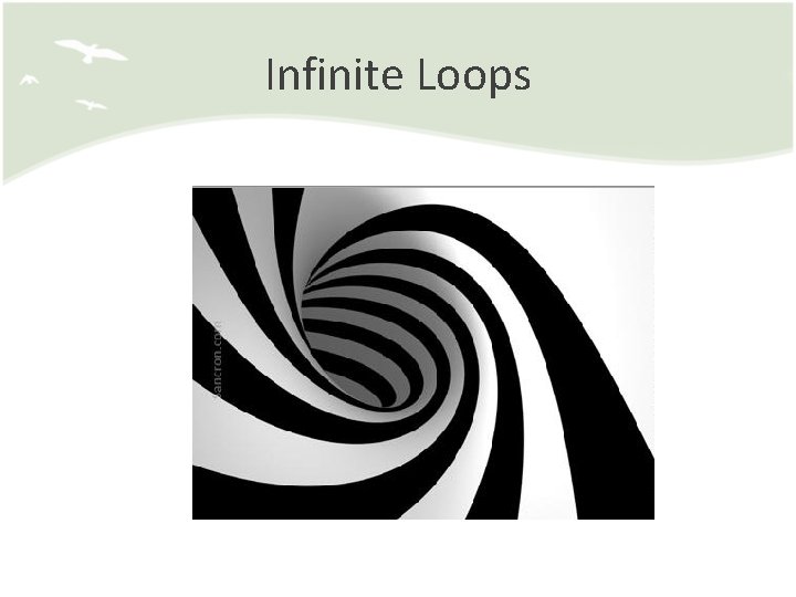 Infinite Loops 