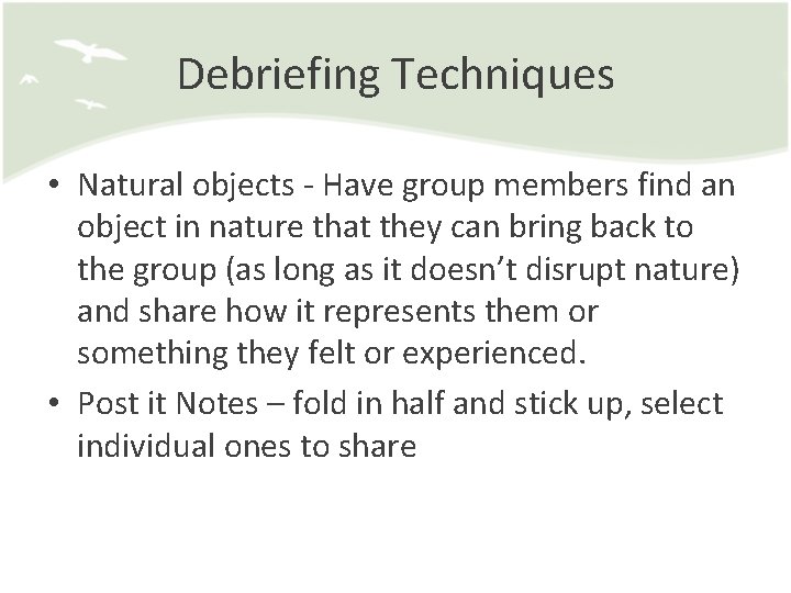 Debriefing Techniques • Natural objects - Have group members find an object in nature
