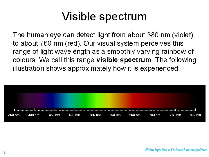 Visible spectrum The human eye can detect light from about 380 nm (violet) to