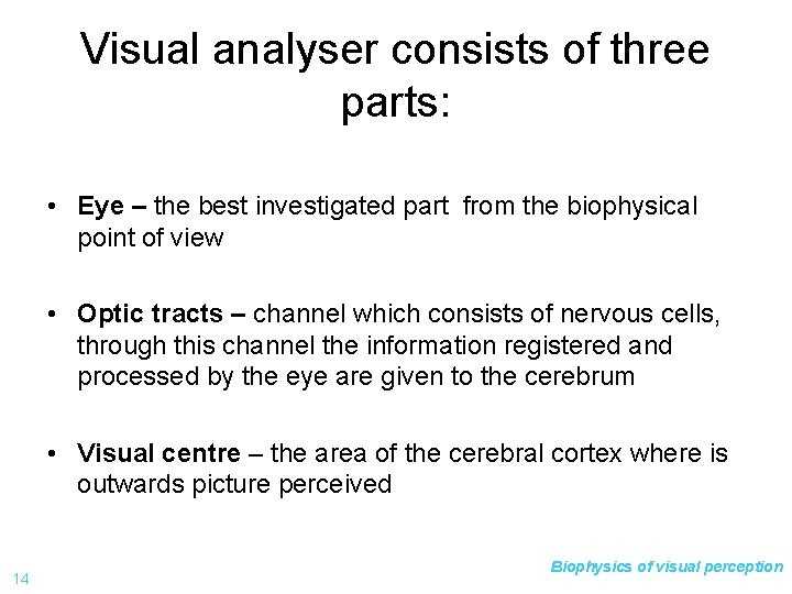 Visual analyser consists of three parts: • Eye – the best investigated part from