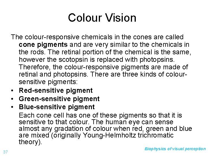 Colour Vision The colour-responsive chemicals in the cones are called cone pigments and are