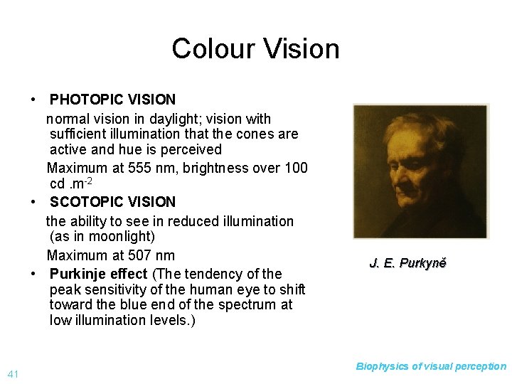 Colour Vision • PHOTOPIC VISION normal vision in daylight; vision with sufficient illumination that