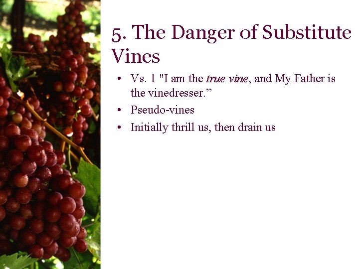 5. The Danger of Substitute Vines • Vs. 1 "I am the true vine,