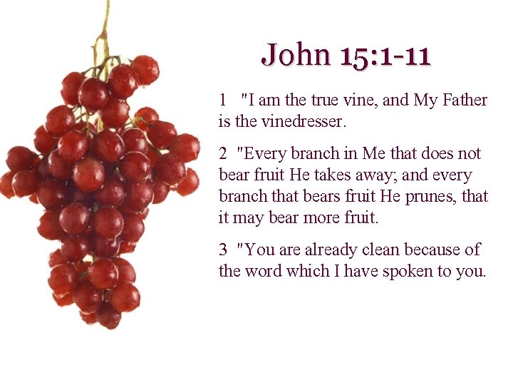 John 15: 1 -11 1 "I am the true vine, and My Father is