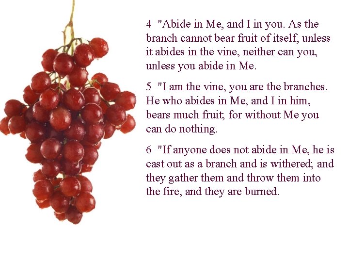 4 "Abide in Me, and I in you. As the branch cannot bear fruit