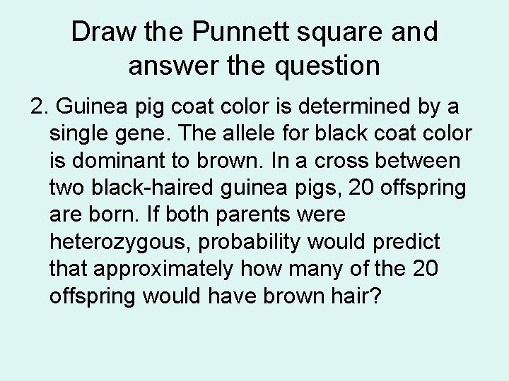 Draw the Punnett square and answer the question 2. Guinea pig coat color is