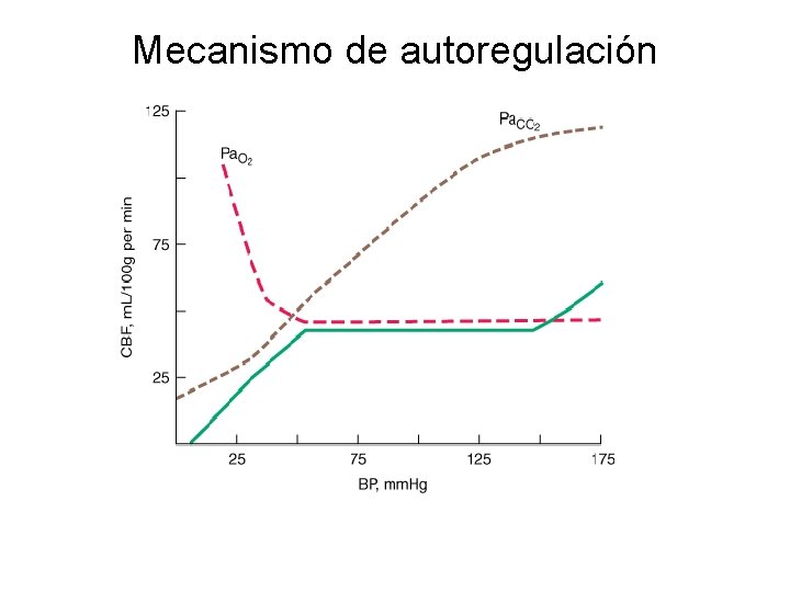 Mecanismo de autoregulación 