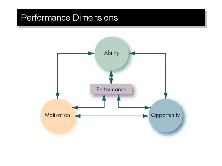 Performance Dimensions 