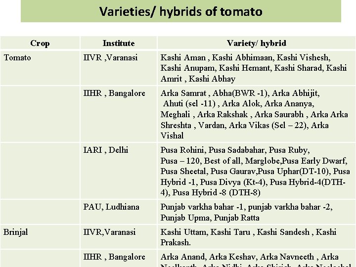 Varieties/ hybrids of tomato Crop Tomato Brinjal Institute Variety/ hybrid IIVR , Varanasi Kashi