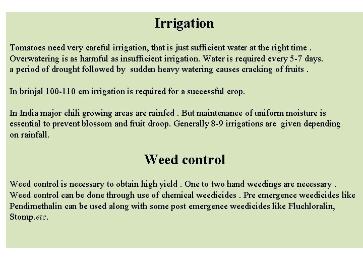 Irrigation Tomatoes need very careful irrigation, that is just sufficient water at the right