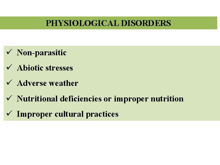 PHYSIOLOGICAL DISORDERS ü Non-parasitic ü Abiotic stresses ü Adverse weather ü Nutritional deficiencies or