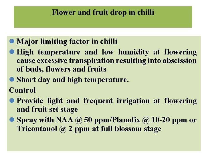 Flower and fruit drop in chilli l Major limiting factor in chilli l High