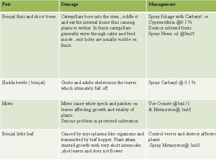 Pest Damage Management Brinjal fruit and shoot borer Caterpillars bore into the stem ,