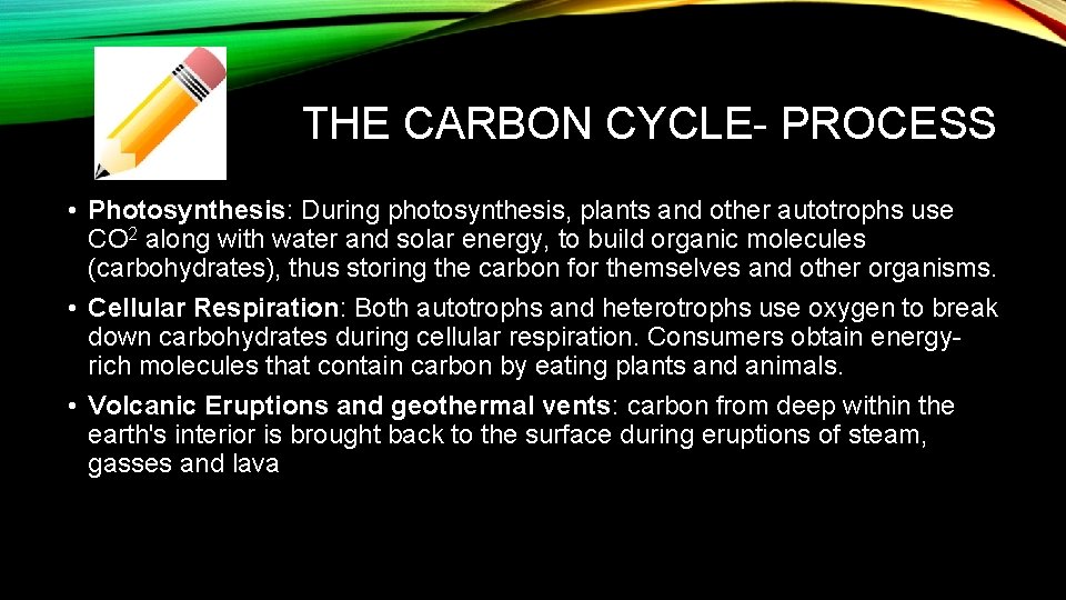 THE CARBON CYCLE- PROCESS • Photosynthesis: During photosynthesis, plants and other autotrophs use CO