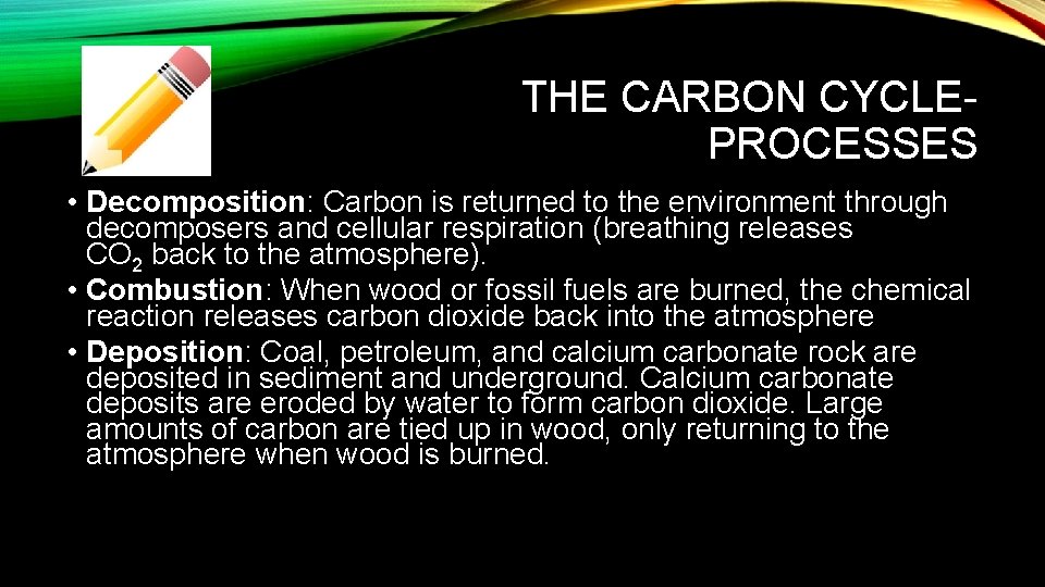 THE CARBON CYCLEPROCESSES • Decomposition: Carbon is returned to the environment through decomposers and