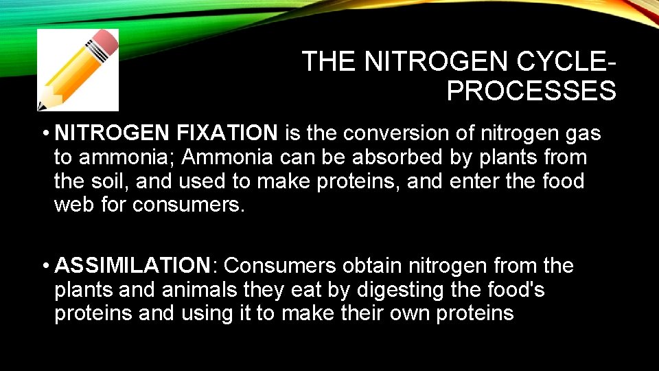 THE NITROGEN CYCLEPROCESSES • NITROGEN FIXATION is the conversion of nitrogen gas to ammonia;