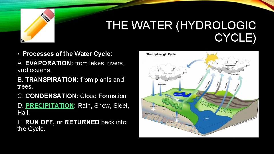 THE WATER (HYDROLOGIC CYCLE) • Processes of the Water Cycle: A. EVAPORATION: from lakes,