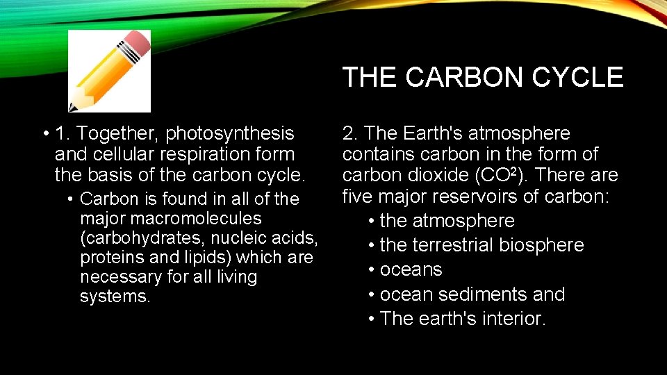 THE CARBON CYCLE • 1. Together, photosynthesis and cellular respiration form the basis of
