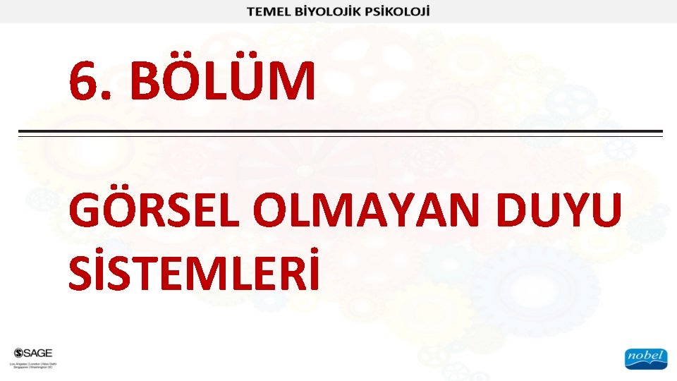 6. BÖLÜM GÖRSEL OLMAYAN DUYU SİSTEMLERİ 