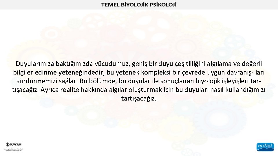 Duyularımıza baktığımızda vücudumuz, geniş bir duyu çeşitliliğini algılama ve değerli bilgiler edinme yeteneğindedir, bu