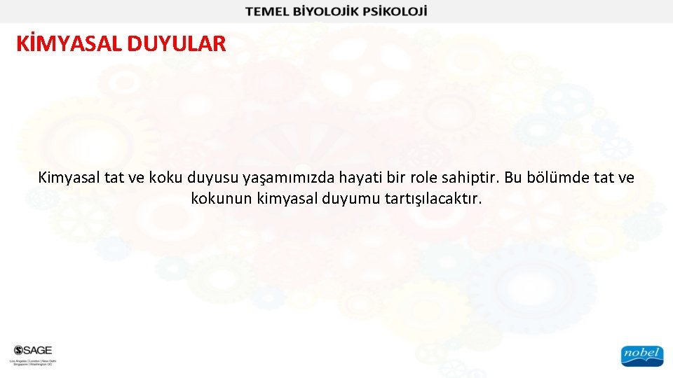 KİMYASAL DUYULAR Kimyasal tat ve koku duyusu yaşamımızda hayati bir role sahiptir. Bu bölümde