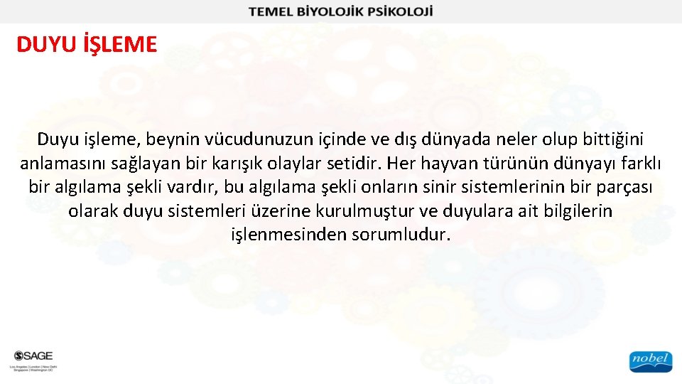 DUYU İŞLEME Duyu işleme, beynin vücudunuzun içinde ve dış dünyada neler olup bittiğini anlamasını
