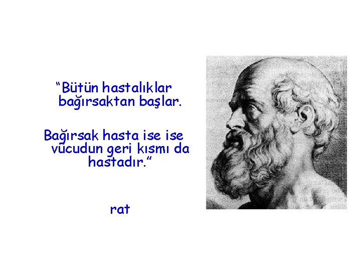 “Bütün hastalıklar bağırsaktan başlar. Bağırsak hasta ise vücudun geri kısmı da hastadır. ” rat