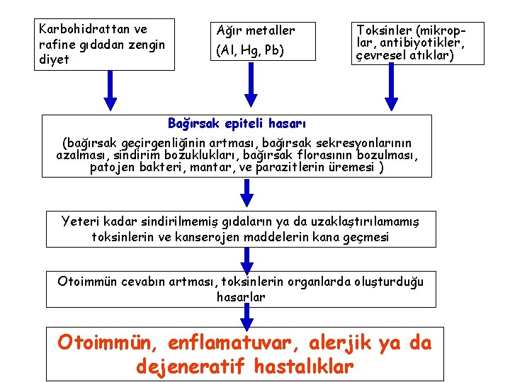 Karbohidrattan ve rafine gıdadan zengin diyet Ağır metaller (Al, Hg, Pb) Toksinler (mikroplar, antibiyotikler,