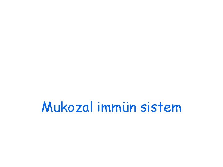 Mukozal immün sistem 