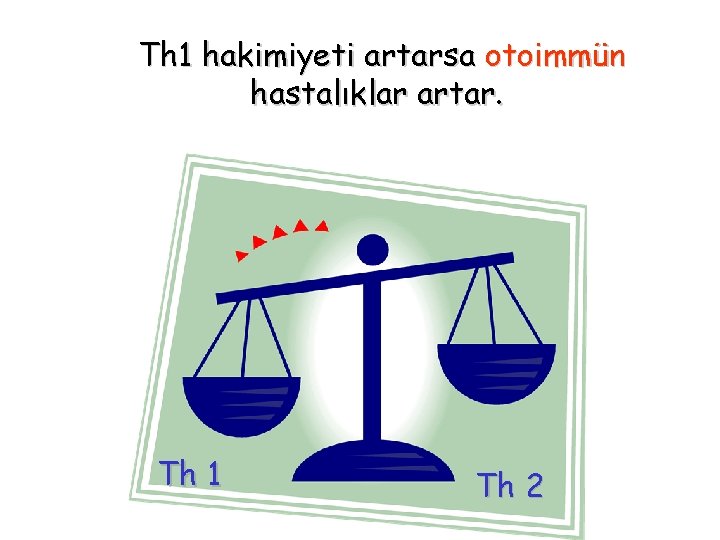 Th 1 hakimiyeti artarsa otoimmün hastalıklar artar. Th 1 Th 2 