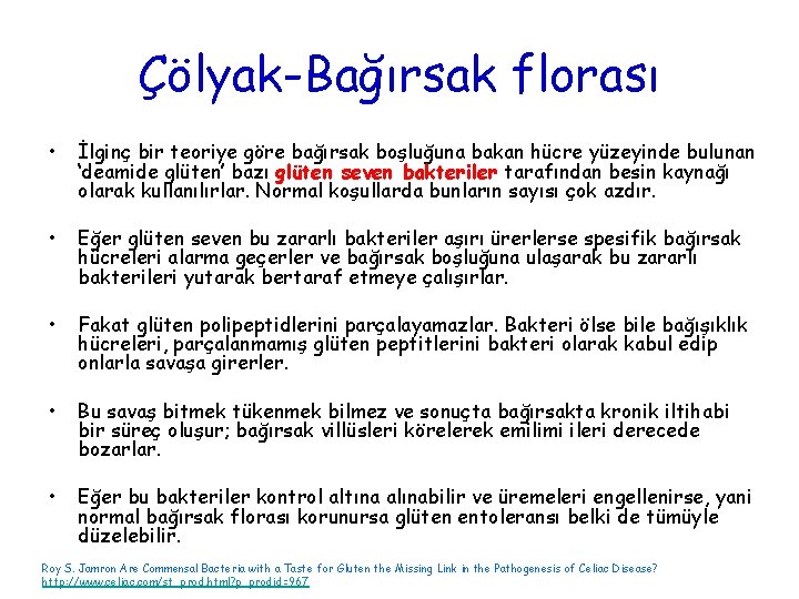 Çölyak-Bağırsak florası • İlginç bir teoriye göre bağırsak boşluğuna bakan hücre yüzeyinde bulunan ‘deamide