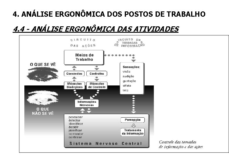 4. ANÁLISE ERGONÔMICA DOS POSTOS DE TRABALHO 4. 4 - ANÁLISE ERGONÔMICA DAS ATIVIDADES