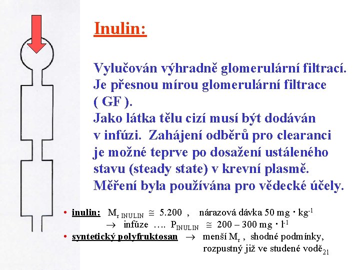 Inulin: Vylučován výhradně glomerulární filtrací. Je přesnou mírou glomerulární filtrace ( GF ). Jako